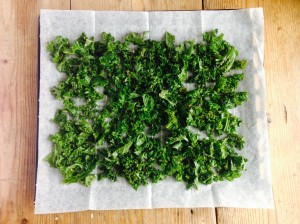 Kale Crisps pre baking